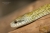 Serpent ratier japonais