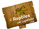 Qui est Reptiles en Captivité?